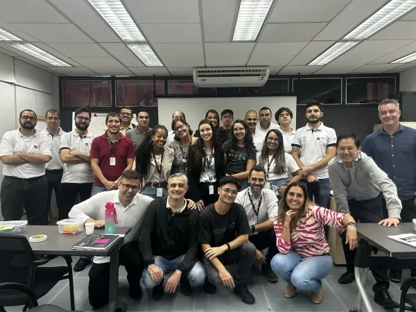 Mentoria in company