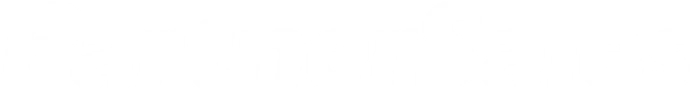 PartnerSales